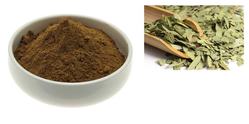 Senna Leaf Extract Powder1 Senna Leaf Extract Powder1