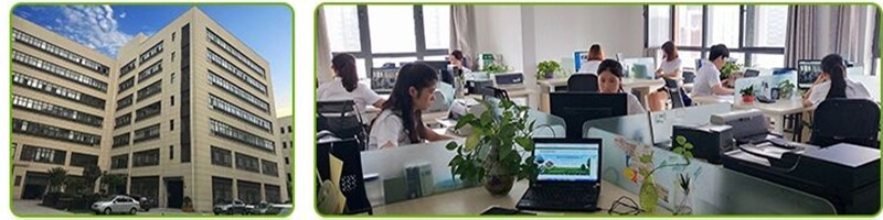 professional team professional team