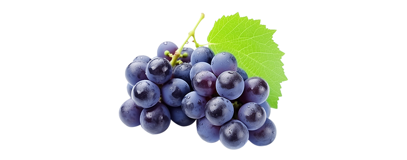 Grape Seed Extract Powder Grape Seed Extract Powder